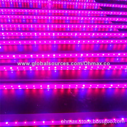 IP65 Waterproof LED Grow Light Bars with Plant Factory for Light Intensity and Spectrum Research